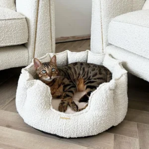 cat bed