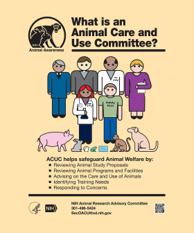 animal-rights-awareness